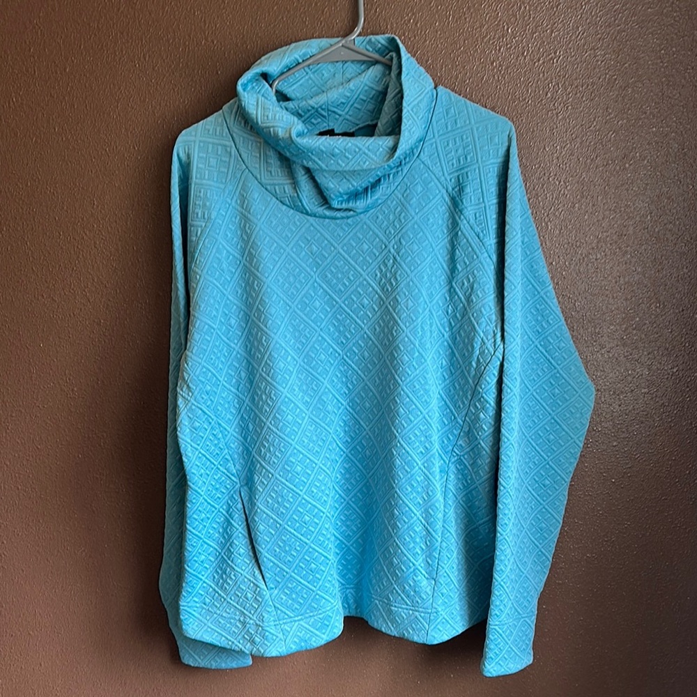 Cozy Blue Cowl Neck Sweater